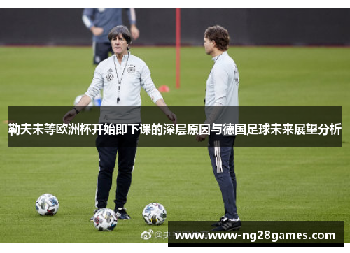 勒夫未等欧洲杯开始即下课的深层原因与德国足球未来展望分析